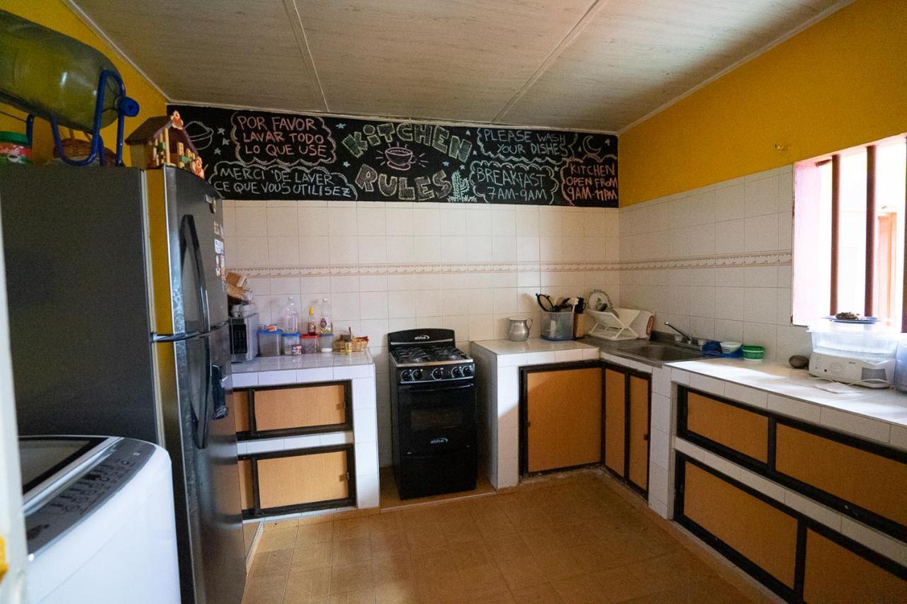Backpackers And Travellers Hostel نيفا المظهر الخارجي الصورة