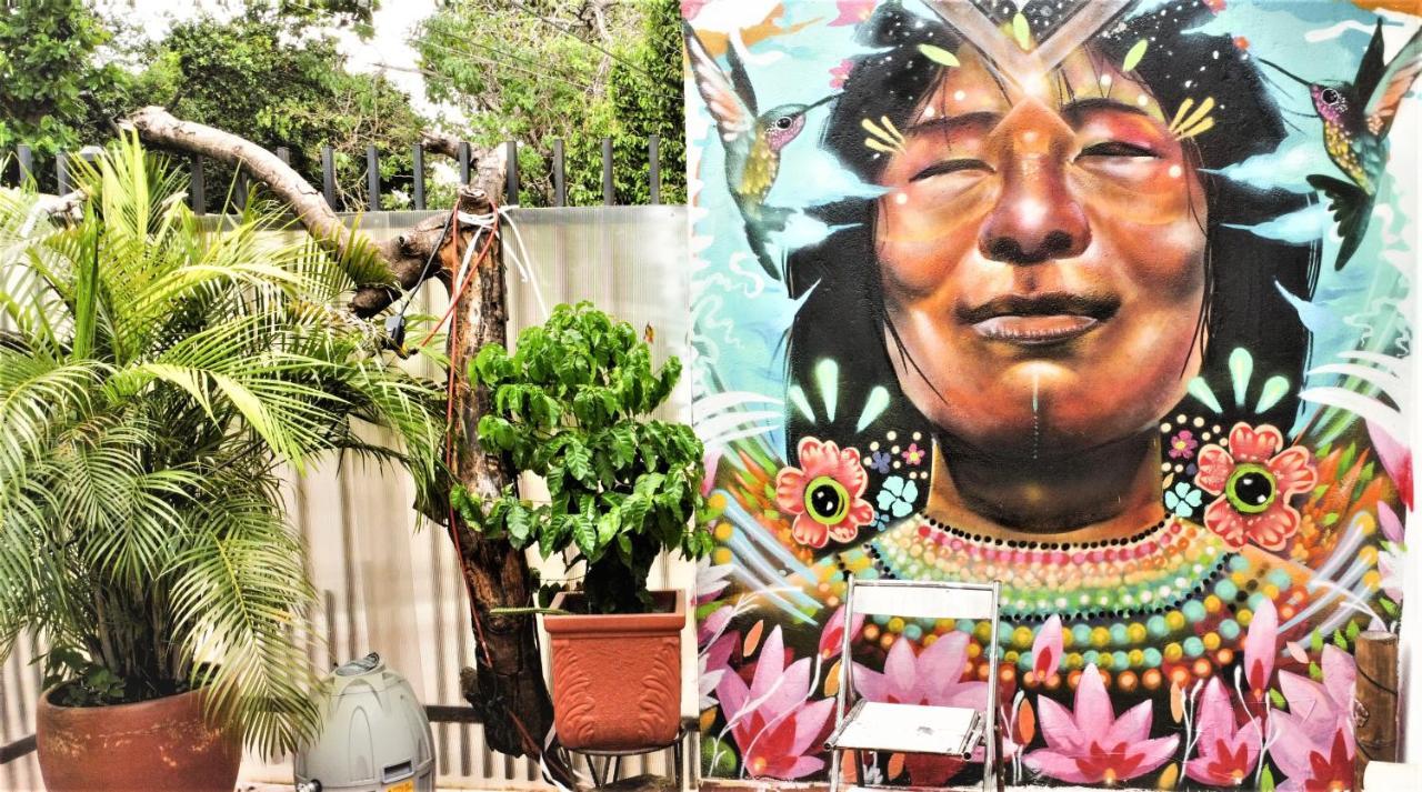 Backpackers And Travellers Hostel نيفا المظهر الخارجي الصورة