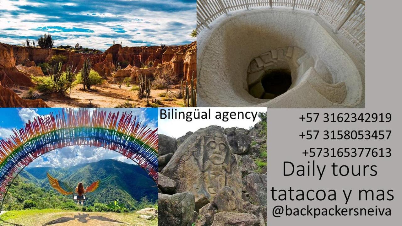 Backpackers And Travellers Hostel نيفا المظهر الخارجي الصورة