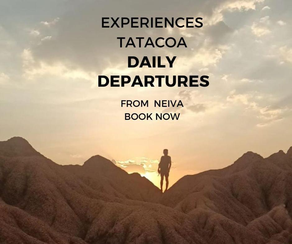 Backpackers And Travellers Hostel نيفا المظهر الخارجي الصورة