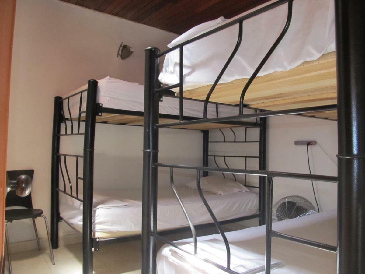 Backpackers And Travellers Hostel نيفا المظهر الخارجي الصورة